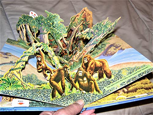 Stock image for Tarzan Pop-Up Book for sale by ThriftBooks-Atlanta
