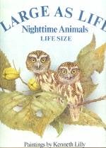 Stock image for Nighttime Animals for sale by ThriftBooks-Atlanta