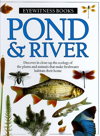 Pond & River (9780394896151) by Whalley, Paul