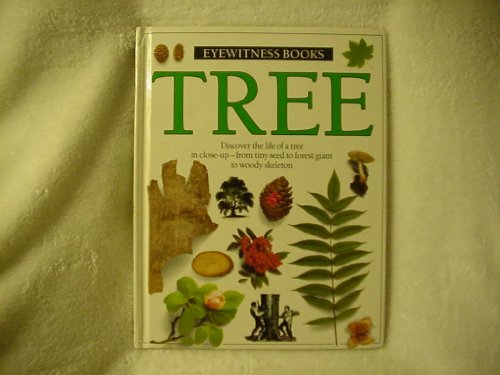 Stock image for Tree (Eyewitness Books) for sale by The Book Garden