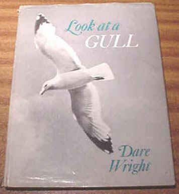 Beispielbild fr Look at a Gull zum Verkauf von ThriftBooks-Dallas