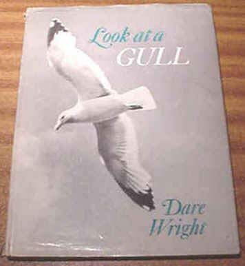 Imagen de archivo de Look at a Gull a la venta por ThriftBooks-Dallas