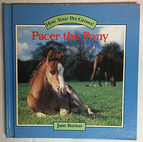 PACER THE PONY (How Your Pet Grows!) (9780394922713) by Burton, Jane