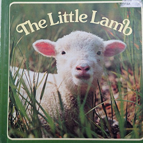 Imagen de archivo de The Little Lamb a la venta por Your Online Bookstore