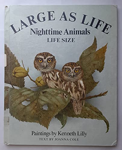 Stock image for NIGHTTIME ANIMALS (Large As Life) for sale by -OnTimeBooks-