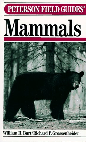 Stock image for A Field Guide to the Mammals for sale by Better World Books