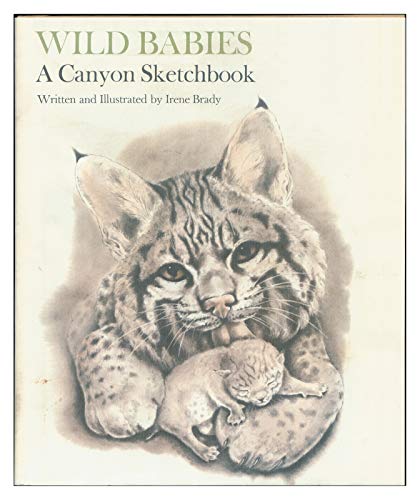 9780395274644: Wild Babies: A Canyon Sketchbook