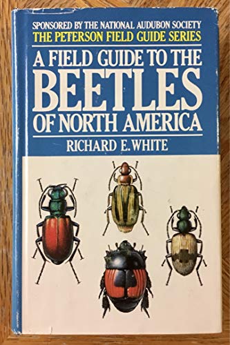 9780395318089: A Field Guide to the Beetles of North America: Text and Illustrations (The Peterson Field Guide Series)