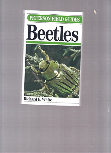 9780395339534: Field Guide to Beetles (Peterson Field Guides)