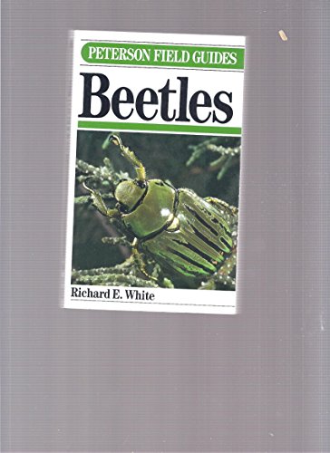 9780395339534: Beetles: A Field Guide to the Beetles of North America