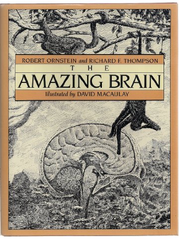 Imagen de archivo de The Amazing Brain a la venta por BookHolders
