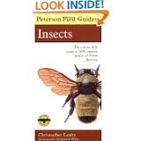 9780395407783: Peterson First Guide to Insects of North America