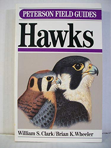 Stock image for A Field Guide to Hawks: North America (Peterson Field Guide Series, 35) for sale by Michael Patrick McCarty, Bookseller