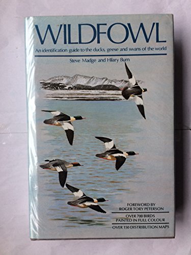 Stock image for Waterfowl: An identification guide to the ducks, geese and swans of the world for sale by Friends of  Pima County Public Library