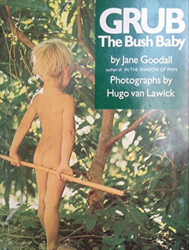 9780395486962: Grub, the Bush Baby