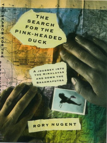 Stock image for Search for the Pink-Headed Duck: A Journey Into the Himalayas and Down the Brahmaputra. for sale by Grendel Books, ABAA/ILAB