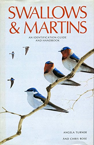 Beispielbild fr Swallows & Martins: An Identification Guide and Handbook zum Verkauf von ThriftBooks-Atlanta