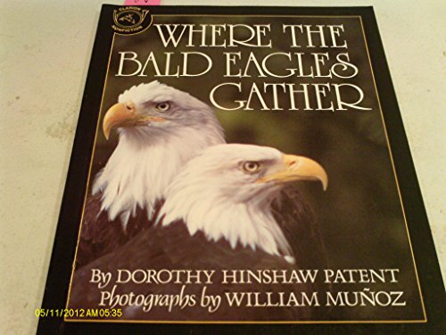 Imagen de archivo de Where the Bald Eagles Gather a la venta por SecondSale