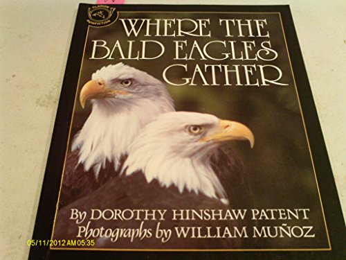 9780395534649: Where the Bald Eagles Gather