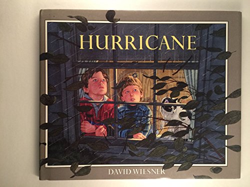 Beispielbild fr Hurricane zum Verkauf von Better World Books