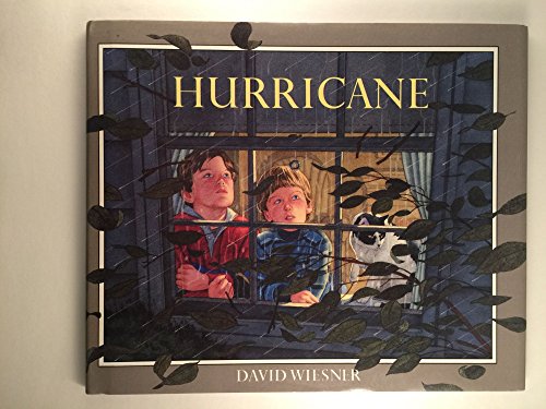 Hurricane (9780395543825) by Wiesner, David