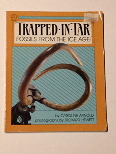 Imagen de archivo de Trapped in Tar: Fossils from the Ice Age a la venta por ThriftBooks-Atlanta