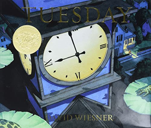 9780395551134: Tuesday: A Caldecott Award Winner (Caldecott Honor Book)