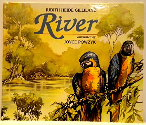 Imagen de archivo de The River a la venta por Better World Books