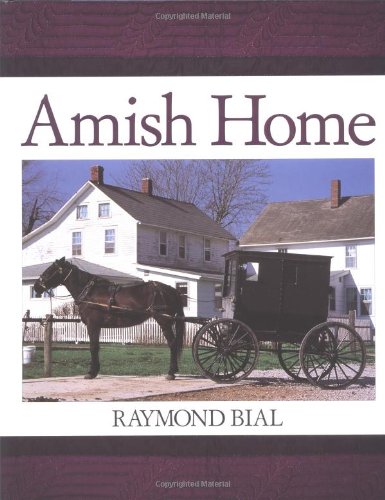 Beispielbild fr Amish Home zum Verkauf von Wonder Book