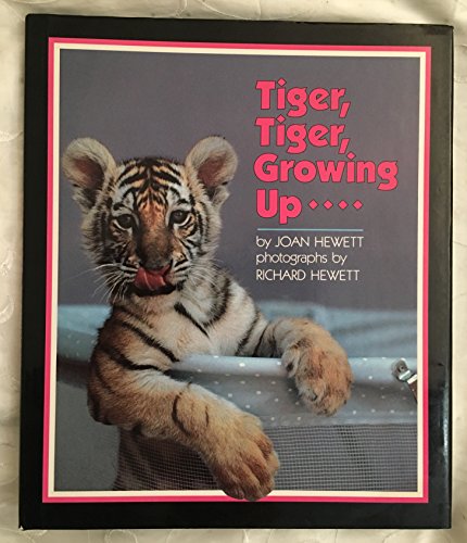 9780395615836: Tiger, Tiger, Growing Up