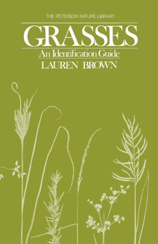 Grasses: An Identification Guide (Sponsored by the Roger Tory Peterson Institute) (9780395628812) by Brown, Lauren