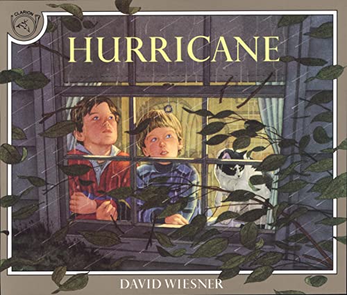 Beispielbild fr Hurricane zum Verkauf von Jenson Books Inc