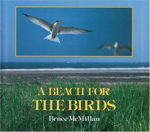 Stock image for A Beach for the Birds for sale by Better World Books