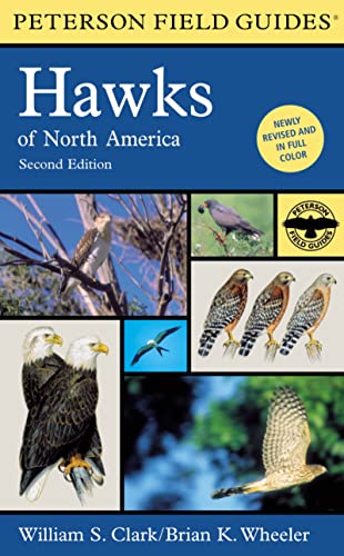 A Field Guide to Hawks of North America (Peterson Field Guide Series) - Clark, William S; Wheeler, Brian K