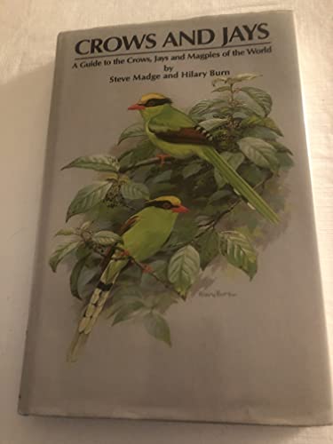 Stock image for Crows and Jays: A Guide to the Crows, Jays and Magpies of the World for sale by St Vincent de Paul of Lane County