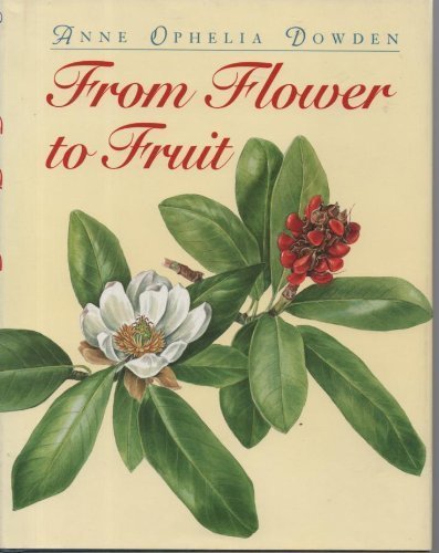 9780395683767: From Flower to Fruit