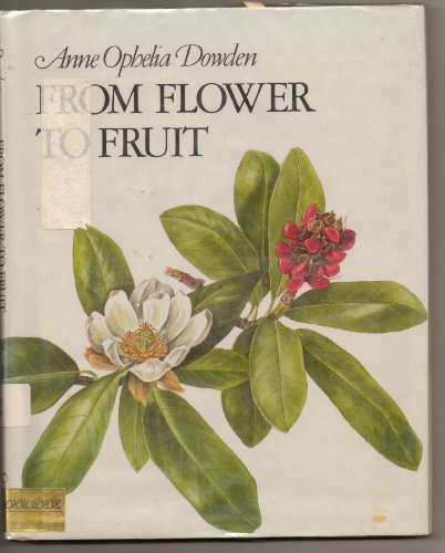 9780395689448: From Flower to Fruit