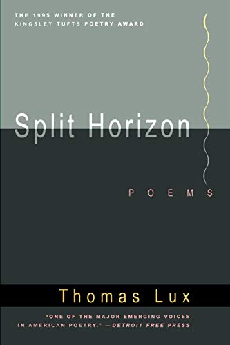 9780395700976: Split Horizon
