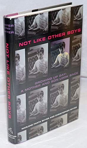 9780395709399: Not Like Other Boys Growing Up Gay: A Mother and Son Look Back