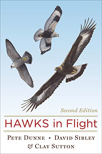 Beispielbild fr Hawks in Flight zum Verkauf von Blackwell's