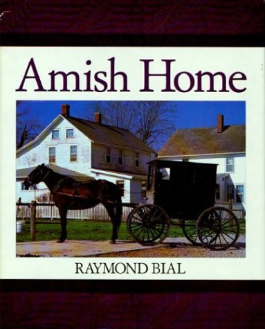 Imagen de archivo de Amish Home (Sandpiper paperbacks) a la venta por Eatons Books and Crafts