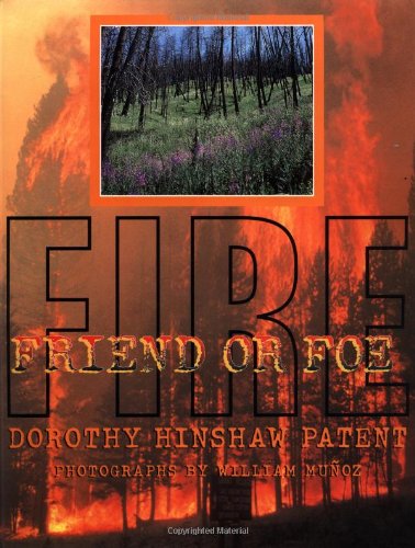 Imagen de archivo de Fire : Friend or Foe a la venta por Better World Books