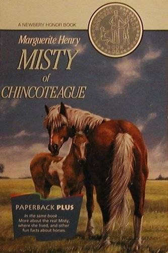 Stock image for Misty of Chincoteague for sale by Wonder Book