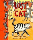 9780395735749: Lost Cat