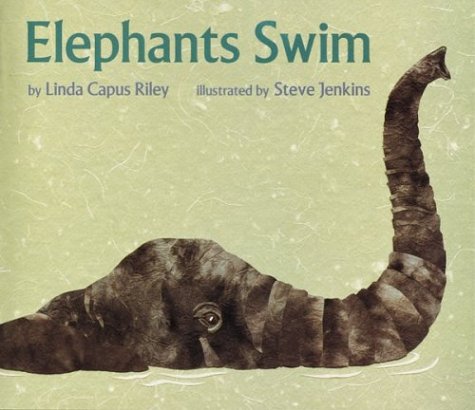 9780395736548: Elephants Swim