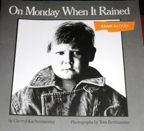 9780395753439: On Monday When It Rained