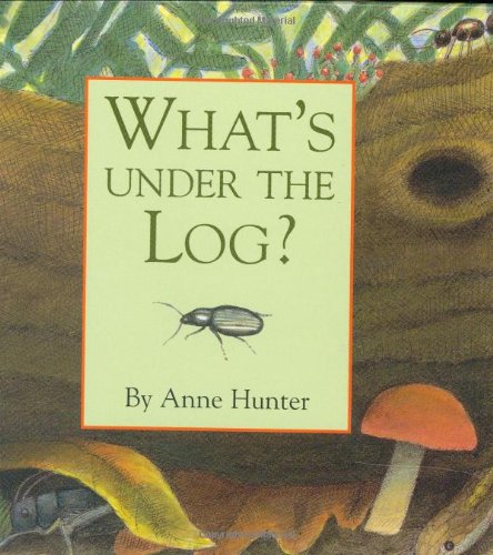 Beispielbild fr What's under the Log? zum Verkauf von Better World Books