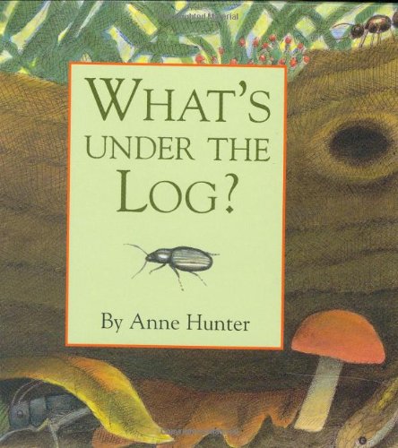 9780395754962: What's under the Log? (Hidden Life)