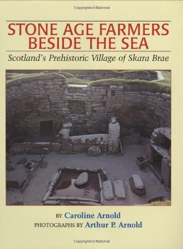 Imagen de archivo de Stone Age Farmers Beside the Sea: Scotland's Prehistoric Village of Skara Brae a la venta por SecondSale
