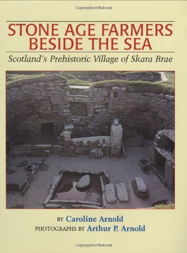 Stock image for Stone Age Farmers Beside the Sea: Scotland's Prehistoric Village of Skara Brae for sale by SecondSale